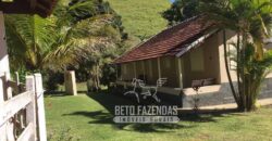 Fazenda à Venda 38 Alqueires em Manoel de Moraes | Sta. Maria Madalena/RJ