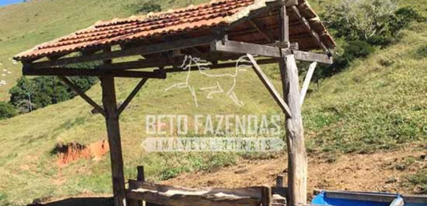 Fazenda à Venda 38 Alqueires em Manoel de Moraes | Sta. Maria Madalena/RJ