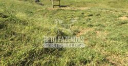 Fazenda à Venda 38 Alqueires em Manoel de Moraes | Sta. Maria Madalena/RJ