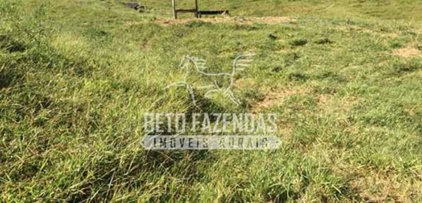 Fazenda à Venda 38 Alqueires em Manoel de Moraes | Sta. Maria Madalena/RJ