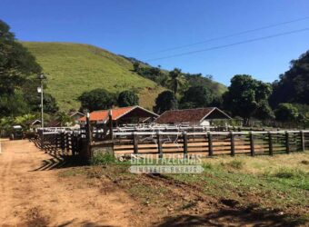 Fazenda à Venda 38 Alqueires em Manoel de Moraes | Sta. Maria Madalena/RJ