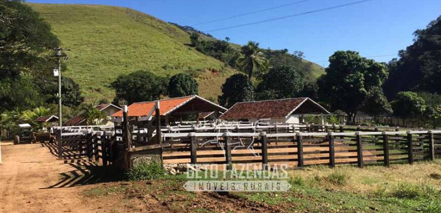 Fazenda à Venda 38 Alqueires em Manoel de Moraes | Sta. Maria Madalena/RJ