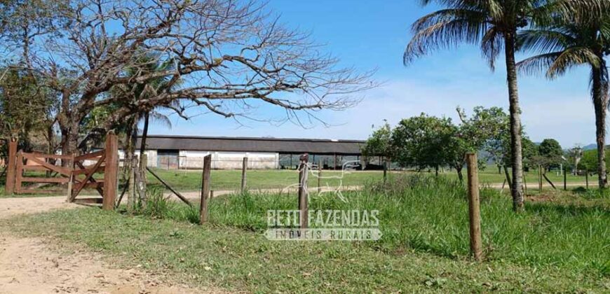 Fazenda Produtiva 607 Alqueires Rio São João Passa por Dentro | Silva Jardim/ RJ