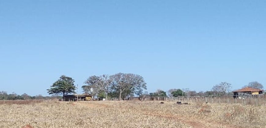 Fazenda Produtiva 13.977 ha Infra Completa no Vale do Araguaia | Cocalinho /MT