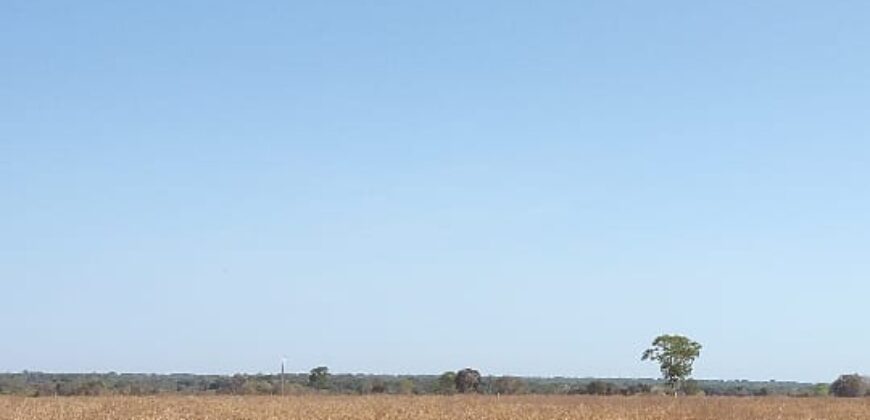 Fazenda Produtiva 13.977 ha Infra Completa no Vale do Araguaia | Cocalinho /MT