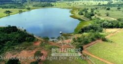 Fazenda Produtiva 13.977 ha Infra Completa no Vale do Araguaia | Cocalinho /MT