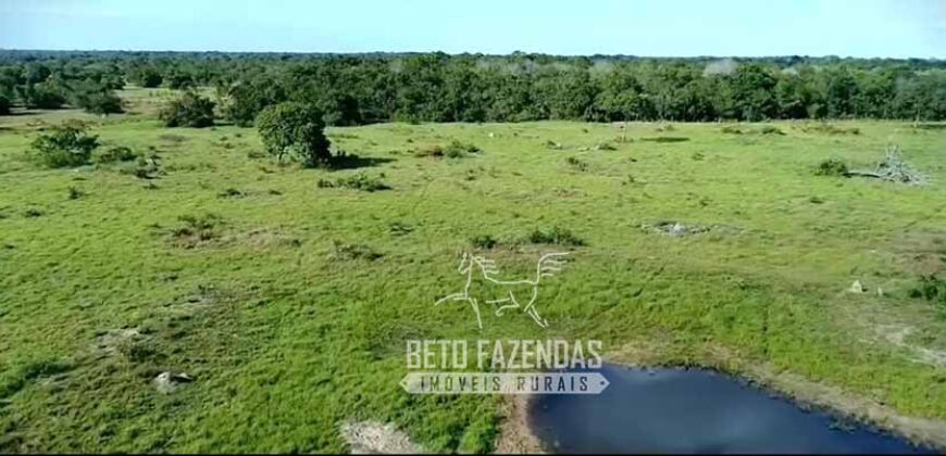 Fazenda Produtiva 13.977 ha Infra Completa no Vale do Araguaia | Cocalinho /MT