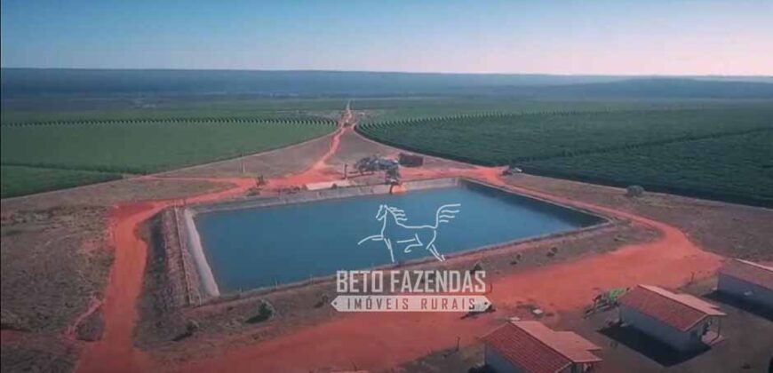 Fazenda Cafeeira à Venda 2.050 hectares Certificada p/ Exportação | Buritizeiro/ MG