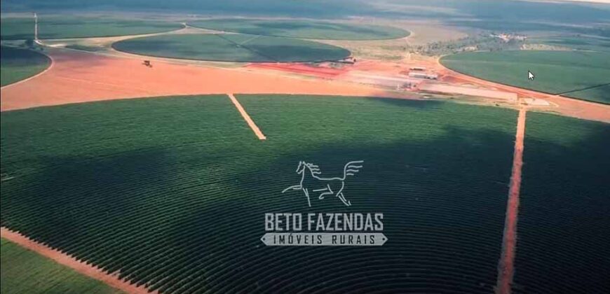 Fazenda Cafeeira à Venda 2.050 hectares Certificada p/ Exportação | Buritizeiro/ MG