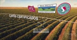 Fazenda Cafeeira à Venda 2.050 hectares Certificada p/ Exportação | Buritizeiro/ MG