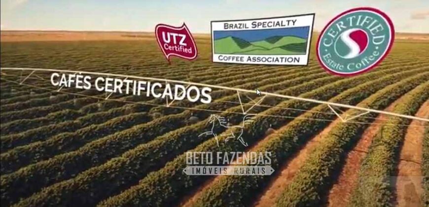 Fazenda Cafeeira à Venda 2.050 hectares Certificada p/ Exportação | Buritizeiro/ MG