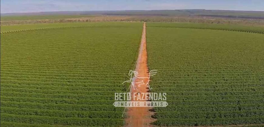 Fazenda Cafeeira à Venda 2.050 hectares Certificada p/ Exportação | Buritizeiro/ MG