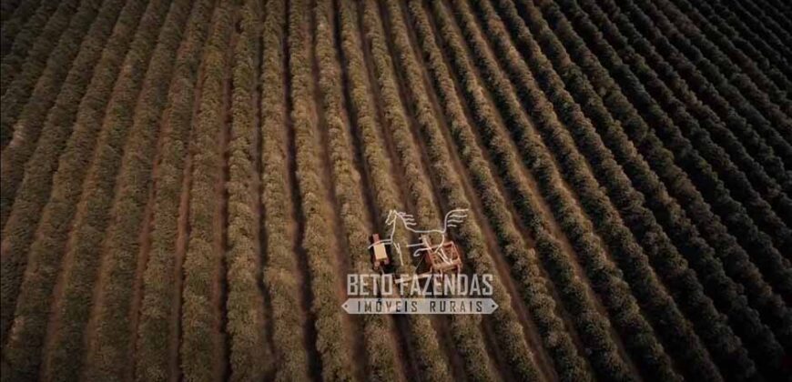 Fazenda Cafeeira à Venda 2.050 hectares Certificada p/ Exportação | Buritizeiro/ MG