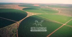 Fazenda Cafeeira à Venda 2.050 hectares Certificada p/ Exportação | Buritizeiro/ MG