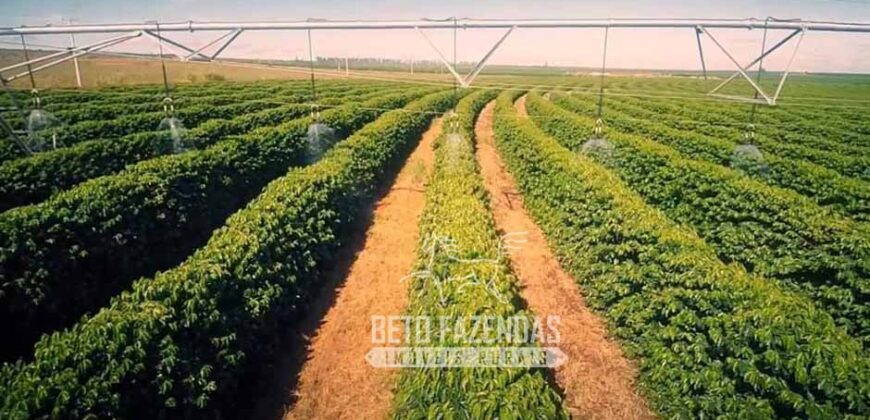 Fazenda Cafeeira à Venda 2.050 hectares Certificada p/ Exportação | Buritizeiro/ MG