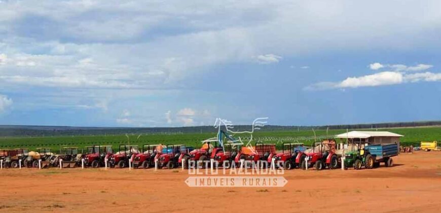 Fazenda Cafeeira à Venda 2.050 hectares Certificada p/ Exportação | Buritizeiro/ MG