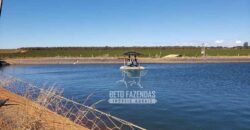 Fazenda Cafeeira à Venda 2.050 hectares Certificada p/ Exportação | Buritizeiro/ MG