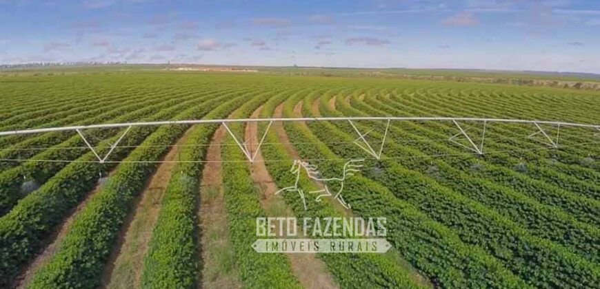 Fazenda Cafeeira à Venda 2.050 hectares Certificada p/ Exportação | Buritizeiro/ MG