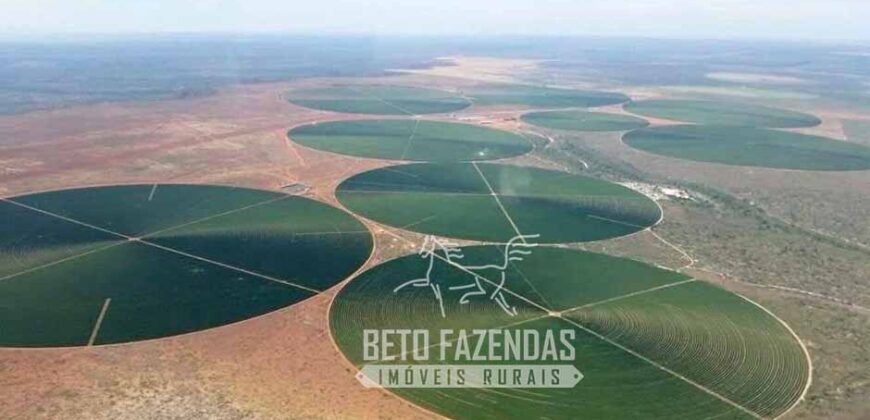 Fazenda Cafeeira à Venda 2.050 hectares Certificada p/ Exportação | Buritizeiro/ MG