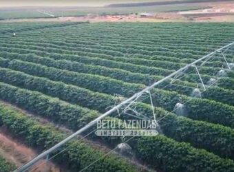 Fazenda Cafeeira à Venda 2.050 hectares Certificada p/ Exportação | Buritizeiro/ MG