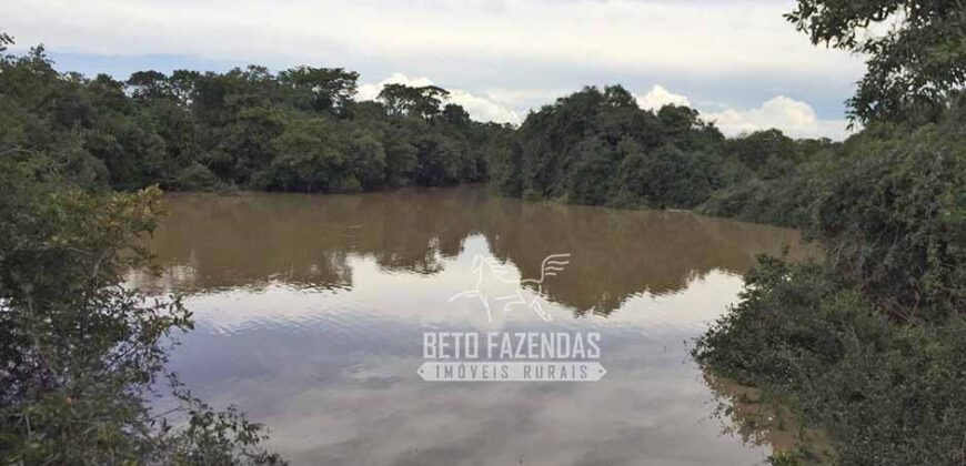 Fazenda à Venda 83.848 Has Potencial p/ Lavoura e Pecuária | São Félix do Araguaia/ MT