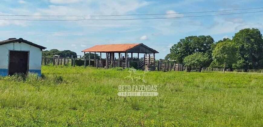 Fazenda à Venda 83.848 Has Potencial p/ Lavoura e Pecuária | São Félix do Araguaia/ MT