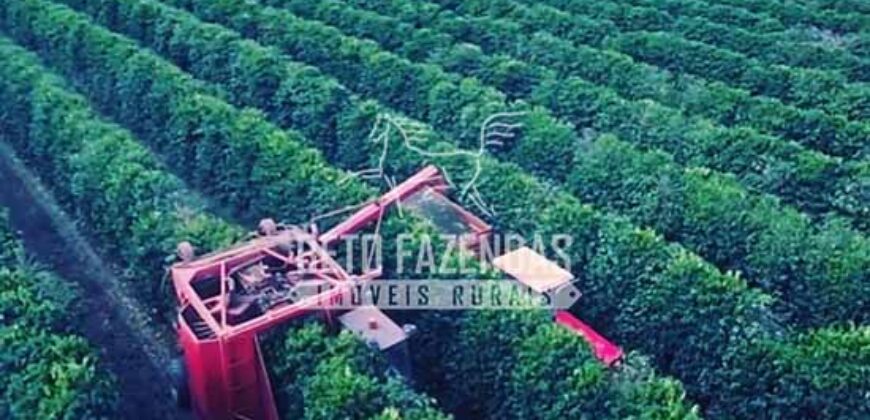 Fazenda Cafeeira à Venda 2.050 hectares Certificada p/ Exportação | Buritizeiro/ MG