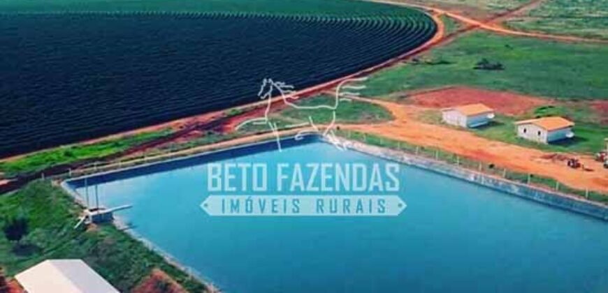 Fazenda Cafeeira à Venda 2.050 hectares Certificada p/ Exportação | Buritizeiro/ MG