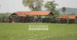 Fazenda Gigante à Venda 149.132 Has Potencial Agrícola | Rondolândia/ MT