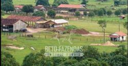 Fazenda Gigante à Venda 149.132 Has Potencial Agrícola | Rondolândia/ MT