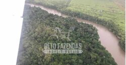 Fazenda Gigante à Venda 149.132 Has Potencial Agrícola | Rondolândia/ MT