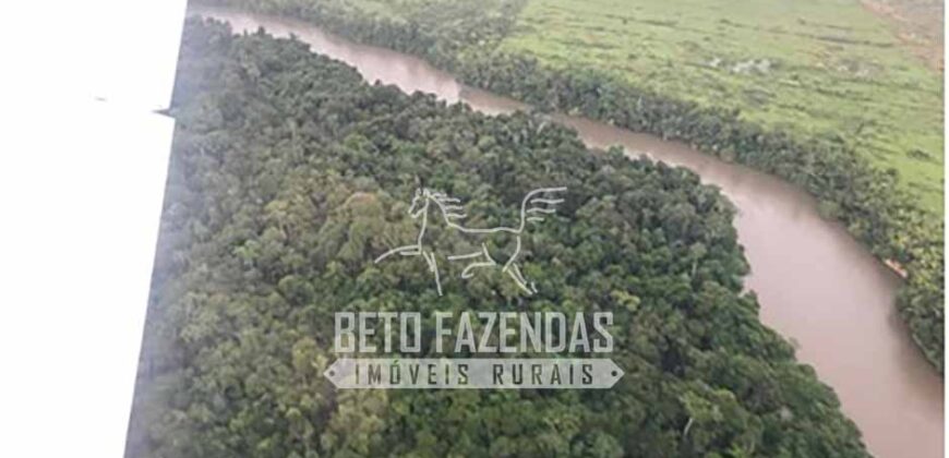 Fazenda Gigante à Venda 149.132 Has Potencial Agrícola | Rondolândia/ MT