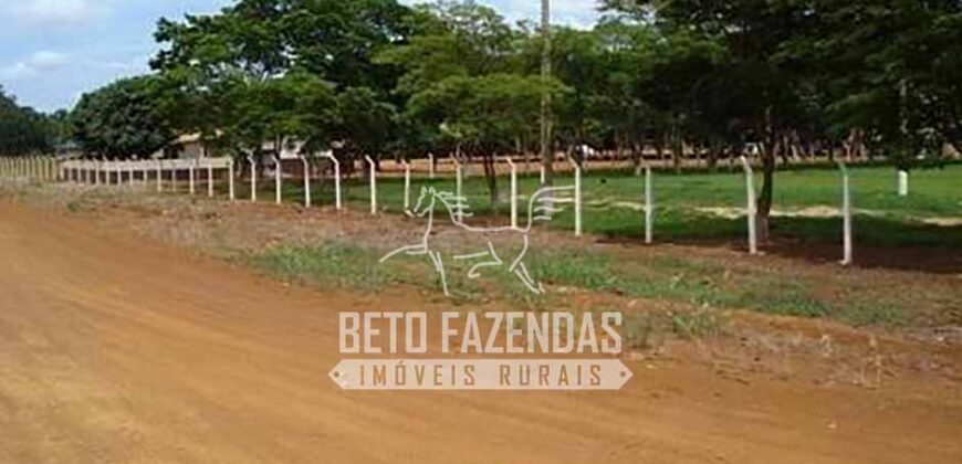 Fazenda Gigante à Venda 149.132 Has Potencial Agrícola | Rondolândia/ MT