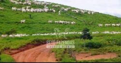 Fazenda Gigante à Venda 149.132 Has Potencial Agrícola | Rondolândia/ MT