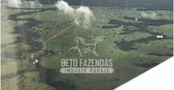 Fazenda Gigante à Venda 149.132 Has Potencial Agrícola | Rondolândia/ MT