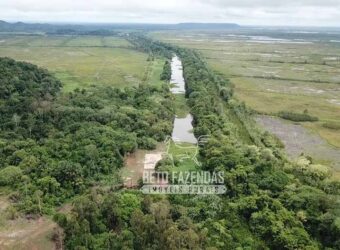 Fazenda à Venda 20.000 has Pecuária Bufalo e Lavoura | Almeirim/ PA