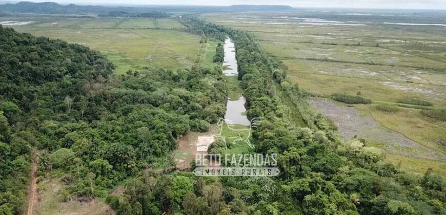 Fazenda à Venda 20.000 has Pecuária Bufalo e Lavoura | Almeirim/ PA