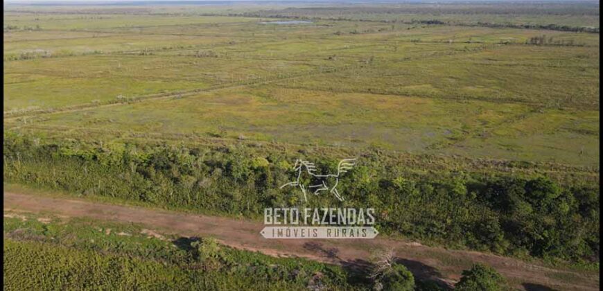 Fazenda à Venda 20.000 has Pecuária Bufalo e Lavoura | Almeirim/ PA