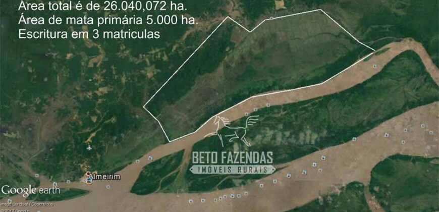 Fazenda à Venda 20.000 has Pecuária Bufalo e Lavoura | Almeirim/ PA