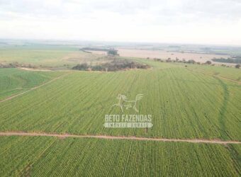 Fazenda à Venda 197 Alqueires com Lavoura de Cana | Itápolis/ SP