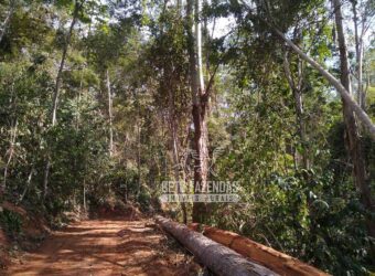 Fazenda Produtiva 456 hectares Setor Florestal Eucalipto | Santa Maria Madalena/ RJ