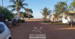 Fazenda à Venda 50 mil Hectares Produtiva em Grande Escala | Nova Mutum/ MT