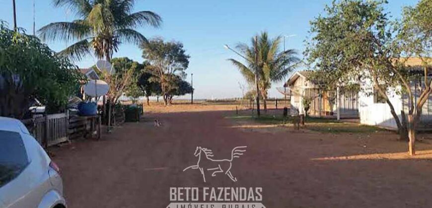 Fazenda à Venda 50 mil Hectares Produtiva em Grande Escala | Nova Mutum/ MT