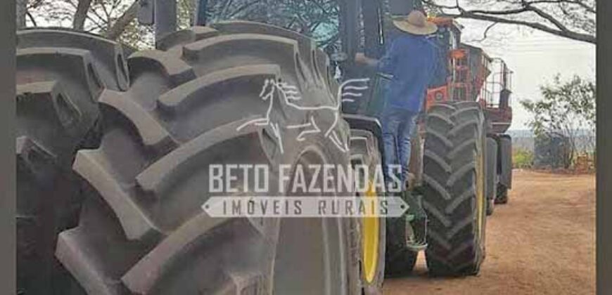 Fazenda à Venda 50 mil Hectares Produtiva em Grande Escala | Nova Mutum/ MT