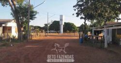 Fazenda à Venda 50 mil Hectares Produtiva em Grande Escala | Nova Mutum/ MT