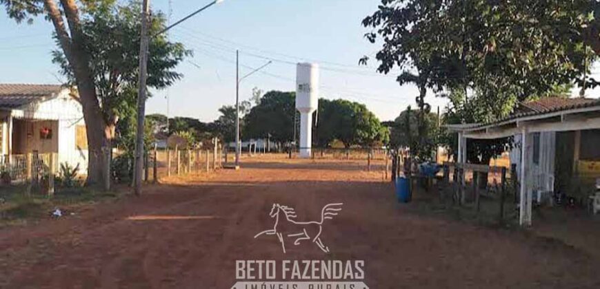 Fazenda à Venda 50 mil Hectares Produtiva em Grande Escala | Nova Mutum/ MT