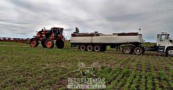 Fazenda à Venda 50 mil Hectares Produtiva em Grande Escala | Nova Mutum/ MT