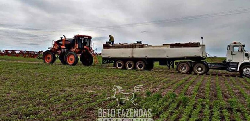 Fazenda à Venda 50 mil Hectares Produtiva em Grande Escala | Nova Mutum/ MT