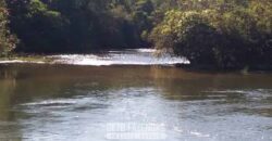 Fazenda à Venda 50 mil Hectares Produtiva em Grande Escala | Nova Mutum/ MT