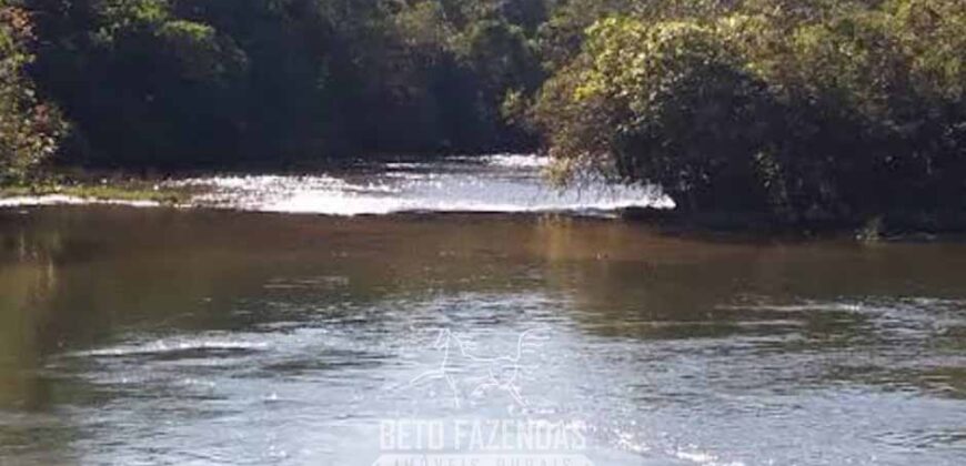 Fazenda à Venda 50 mil Hectares Produtiva em Grande Escala | Nova Mutum/ MT